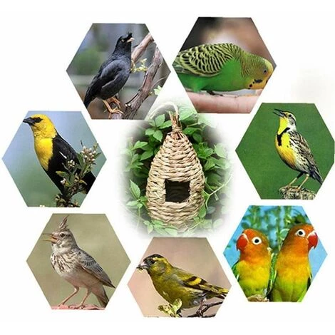 Tissé Nid D'oiseau Colibri Maison Hanging Cabane D'oiseaux Pour Oiseaux Habitat Extérieur Jardin Décoration Accessoires De Jardin Fournitures, Fontainebleau 6 Tissé Nid D'oiseau Colibri Maison Hanging Cabane D'oiseaux Pour Oiseaux Habitat Extérieur Jardin Décoration Accessoires De Jardin Fournitures, Fontainebleau – Image 4