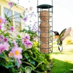 GUAZHUNIFR 2 Pièce Mangeoire Oiseaux Exterieur En Métal, Pour Mésanges, Moineaux Et Divers Oiseaux Sauvages 11 GUAZHUNIFR 2 Pièce Mangeoire Oiseaux Exterieur En Métal, Pour Mésanges, Moineaux Et Divers Oiseaux Sauvages -France Abri de jardin Soldes Boutique 57885294 5